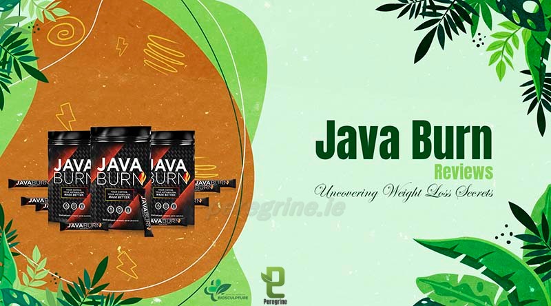 Java Burn